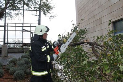Nevrijeme u Šibeniku: Vatrogasci i radnici Zelenila zajednički uklonili srušeno stablo na Baldekinu