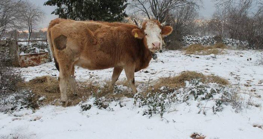Snijeg ponegdje i u Zagori, u nedjelju nam stiže novi val zahlađenja