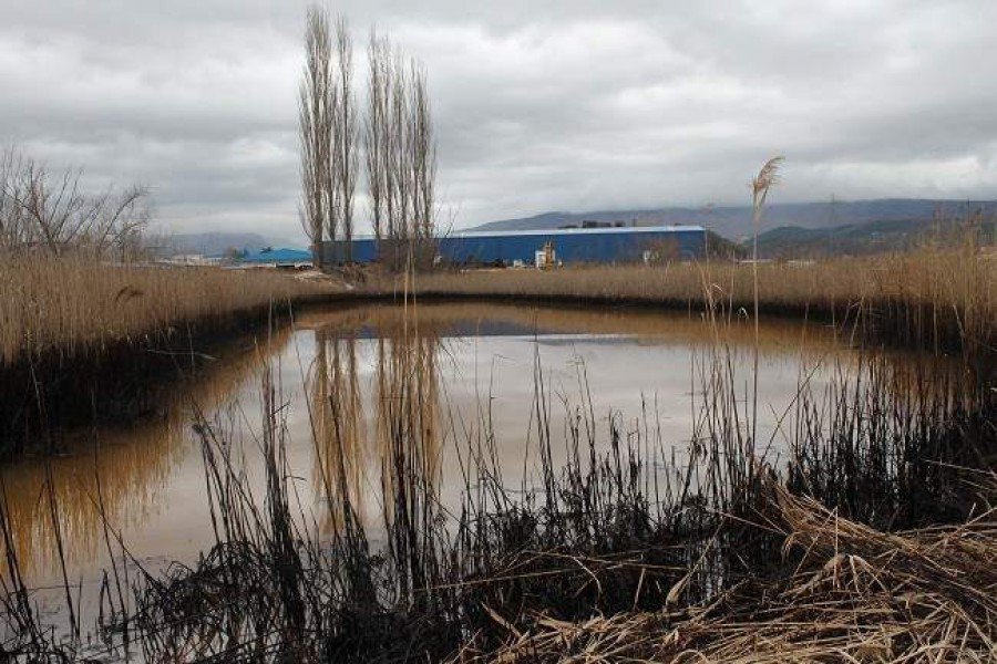 Ekološka katastrofa u Kninu 056