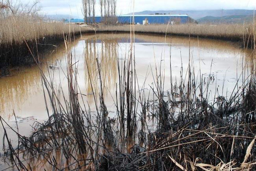 Zagađeno močvarno područje u blizini tvornice DIV (Foto: Hrvoslav Pavić)