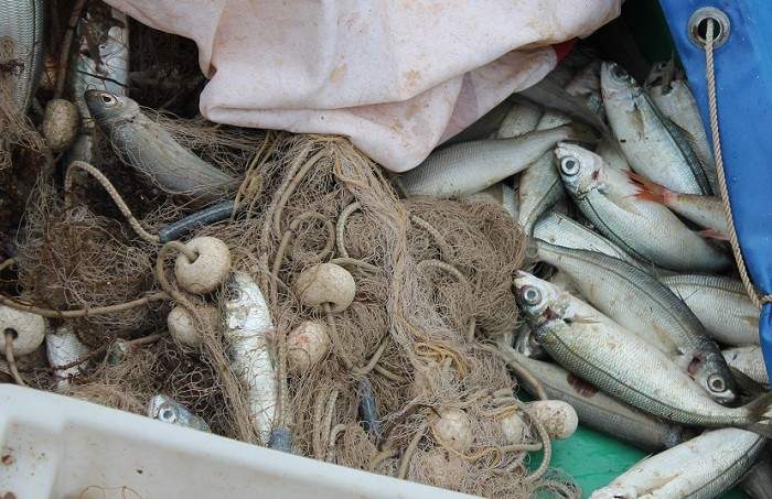 Od 1. ožujka više nema ‘malih ribara’: Udarac europskih propisa ionako teškom životu na obali Jadrana