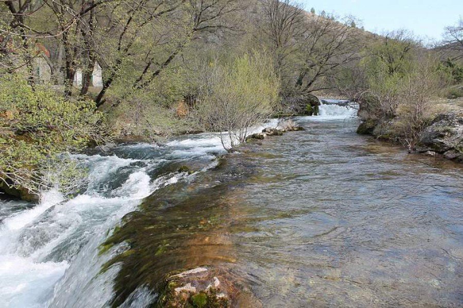 Ljepota Krčića (Foto: H. Pavić)