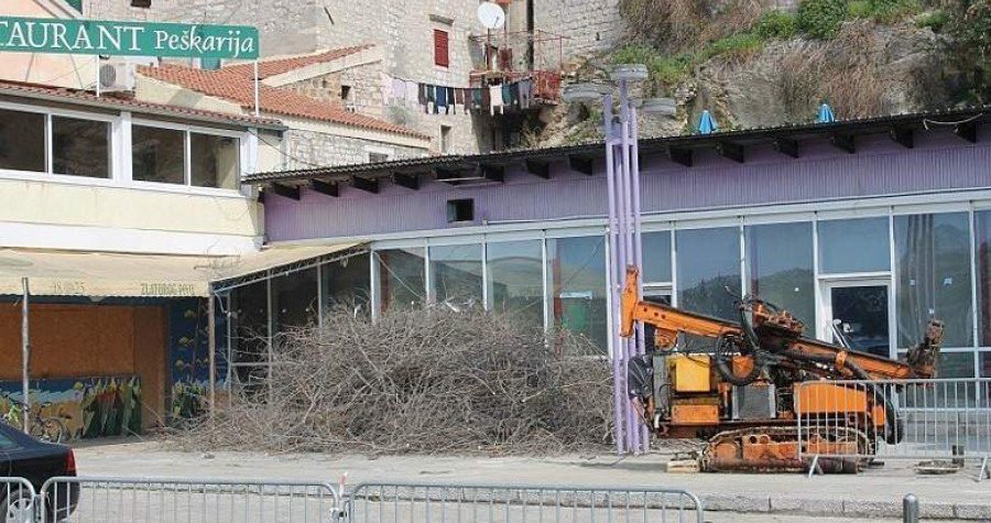 ‘Investitori’ na peškariji srušili fafarinku – jedno od većih stabala u Šibeniku