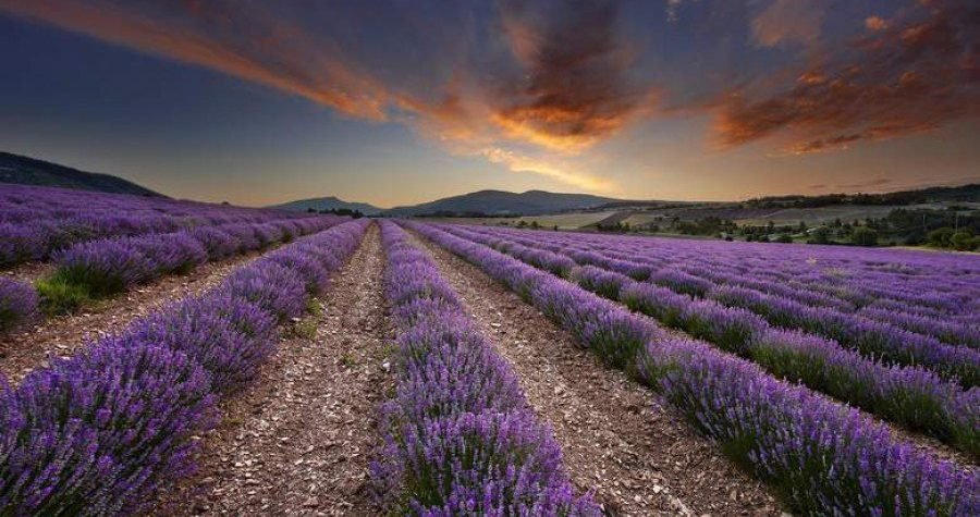 Što je to Jadranska Provansa – ministrica vanjskih poslova u posjeti Dalmatinskoj zagori