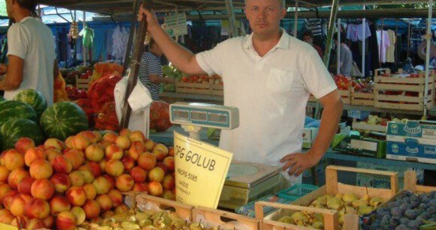 Ljekovita priča o umirovljenom branitelju i ratnom vojnom invalidu: Davor Golub u Slavoniji uzgaja – smokve (Agroklub)