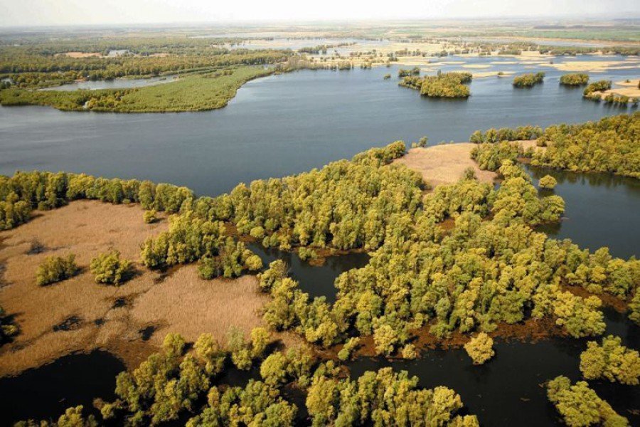 Europska Amazona- Park prirode Kopački rit- Foto: Mario Romulić