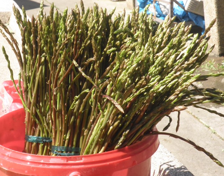 snimila. J. Klisović