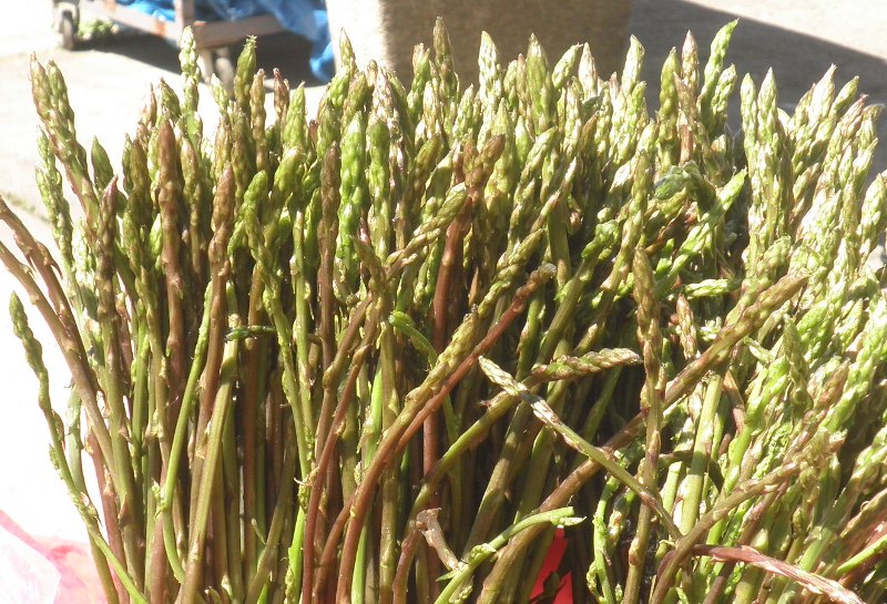 snimila . J. Klisović