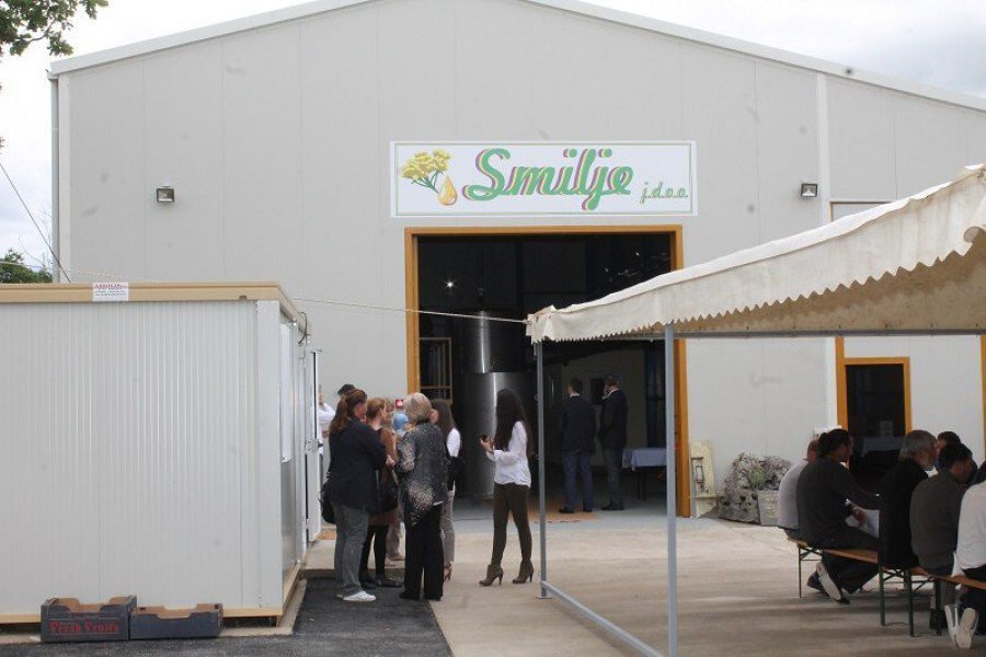 Destilerija dnevno može preraditi 25.000 kilograma smilja, odnosno proizvesti 25 kilograma ulja (Foto: H. Pavić)