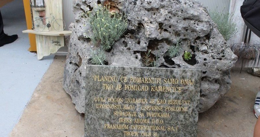 Biznis koji ni Kina ne može ugroziti: Kilogram smilja deset,  a ulja deset tisuća kuna