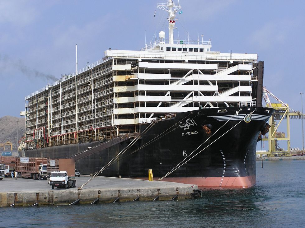 Primjer broda kolokvijalnog naziva 'sheep-ship', naziva Al Kuvait (foto Wikipedia)