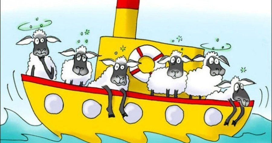 I ovce i novce:  Pulsko brodogradilište gradi sheep-ship ili kruzer za 80 tisuća ovaca