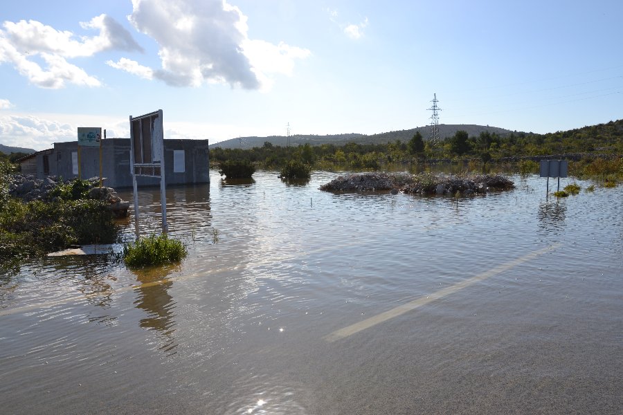 Tišnjanska Dubrava danas (Foto: ŠKŽ)