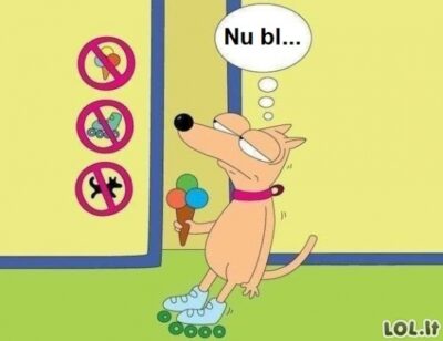 Diskriminacija: zabranjen ulaz psima na koturaljkama sa sladoledom