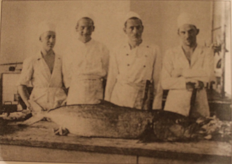 Kupari - kuhari