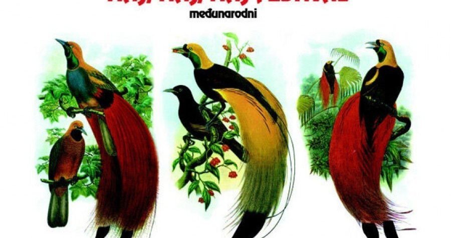 Naj, naj, naj festival: Besplatne i dobre predstave za djecu