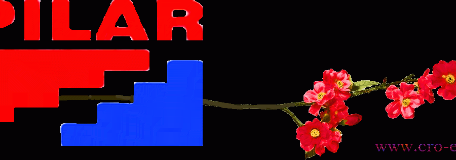 Istraživanje Instituta Ivo Pilar: Čak četvrtina građana razmišlja o napuštanju Hrvatske