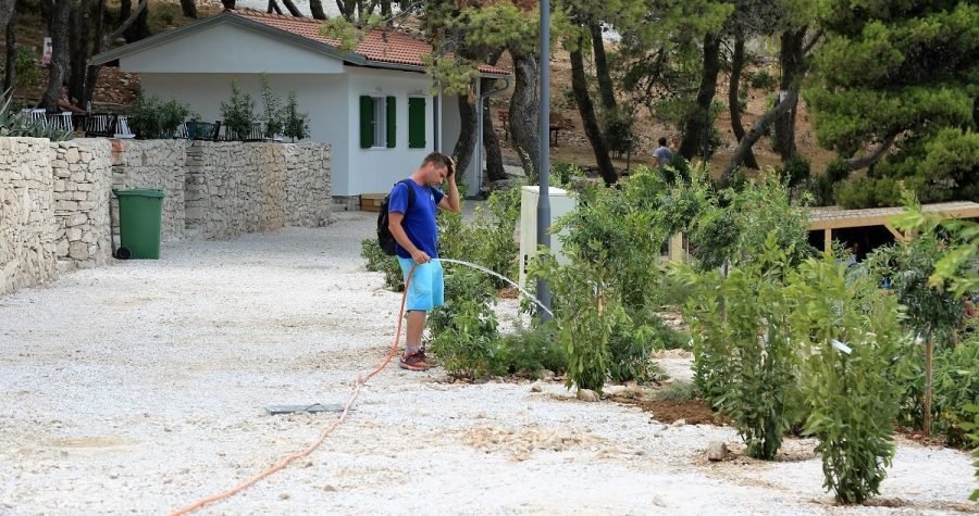 Zadarska policija: Dva Britanca, Slovenac i Hrvat nisu platili pola milijuna kuna za sadnice biljaka