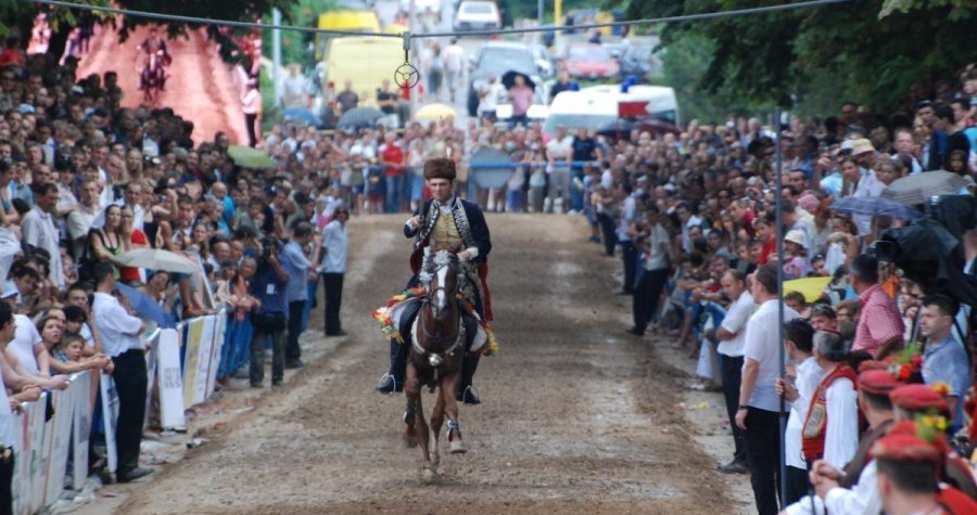 Sinjska alka 301. put : Poligon alkarskog i političkog nadmetanja