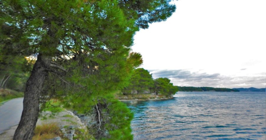 Ministarstvo prodaje državne imovine: 8.535 m2 Šibenika za 40,8 eura po “kvadratu”