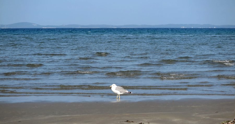 Otok Susak: Ljepota osuđena na izumiranje