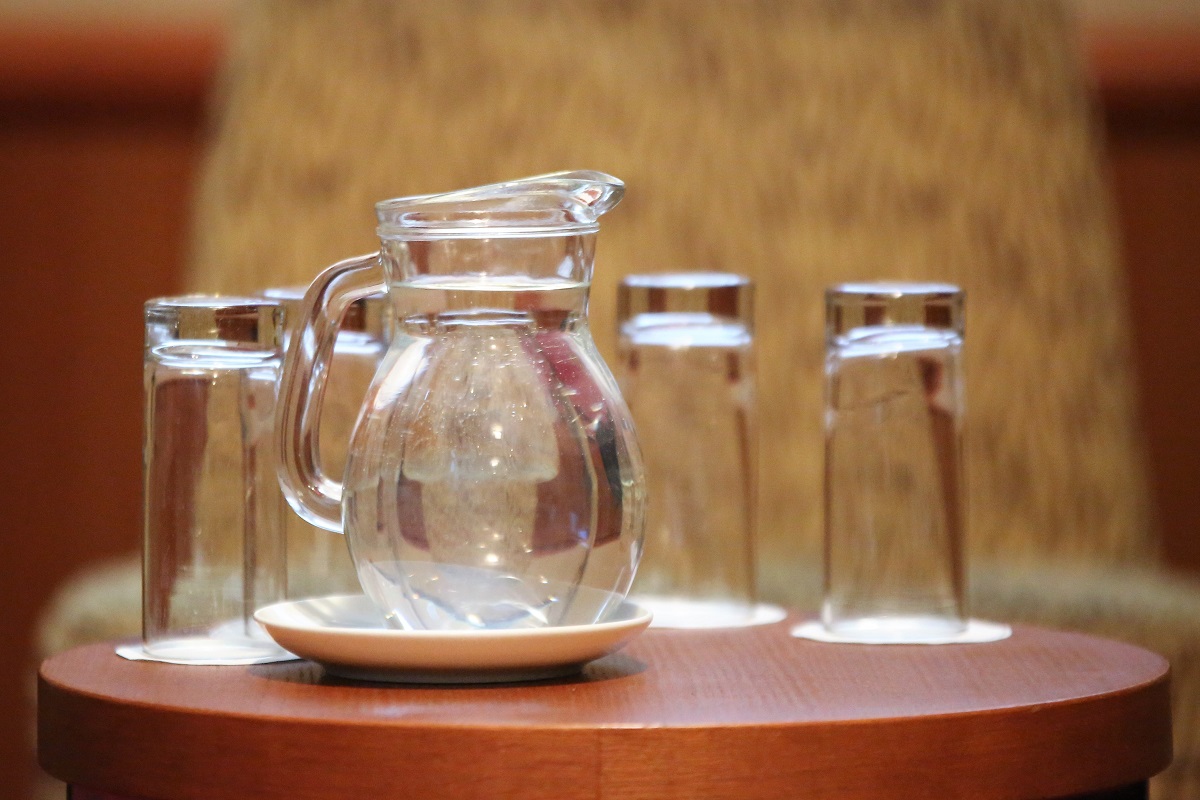 Pitka voda bi se na svim konferencijama trebala posluživati ovaku, u staklenoj umjesto plastičnoj ambačaži (Foto: Tris/H. Pavić)