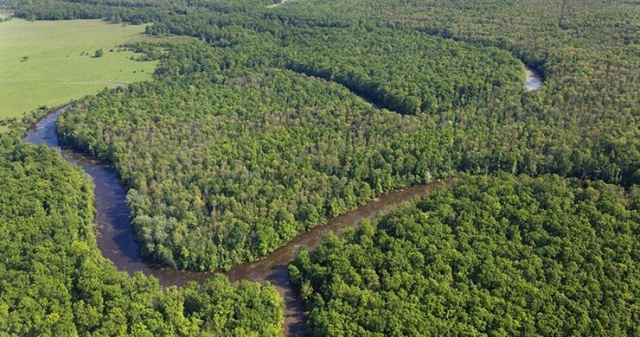 Europska komisija provodi dubinsku istragu u Hrvatskim šumama: Predmet istrage su državne potpore