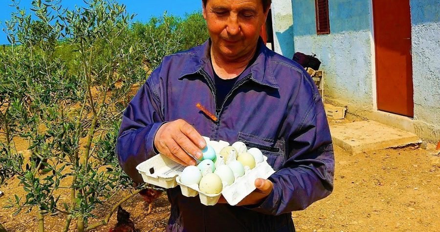 Objavio natječaj za najbolji politički slogan i otkrio svijetu da mu kokoši nesu obojana jaja