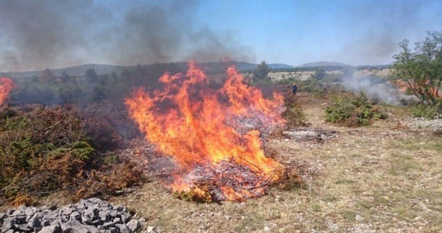 Spali i napasi: Plamen, ovce i koze u borbi za raznolikiju bioraznolikost