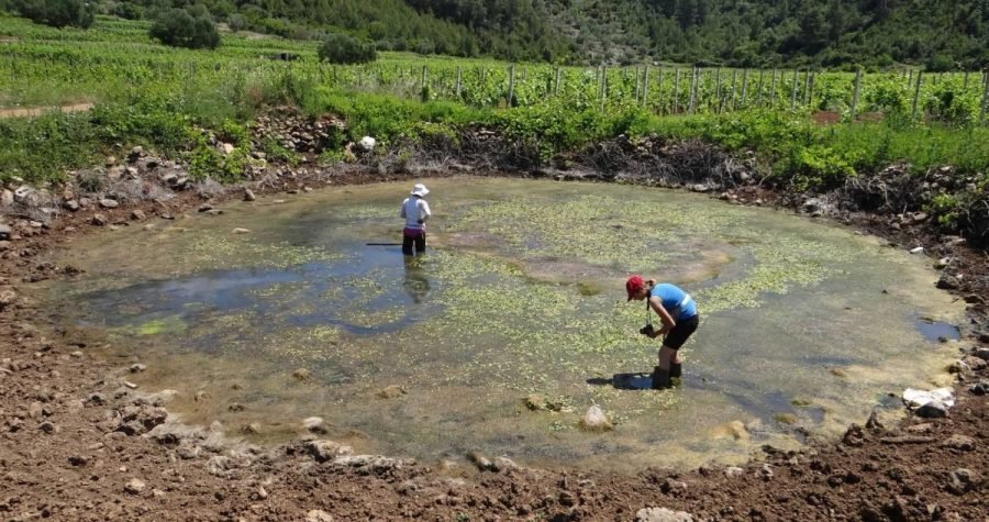 Započeo projekt Očuvanje vlažnih staništa na otocima Sredozemlja