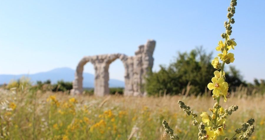 NP Krka: Radionice za djecu o kulturnopovijesnoj i prirodnoj baštini