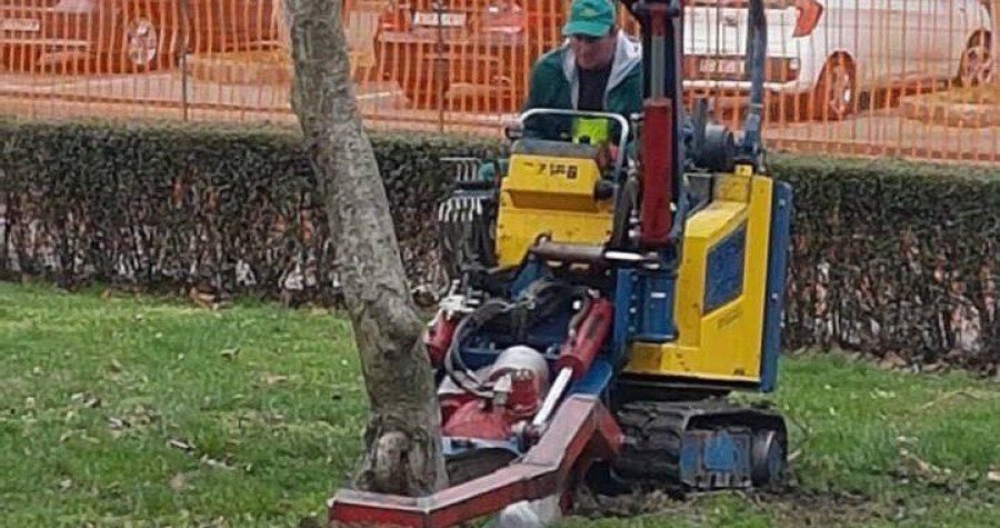 Iščupana magnolija: ‘Iskažite nezadovoljstvo protiv divljačkog uništavanja našeg Zagreba!’
