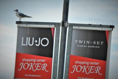 Galeb ne mari za Joker (foto TRIS/G. Šimac)