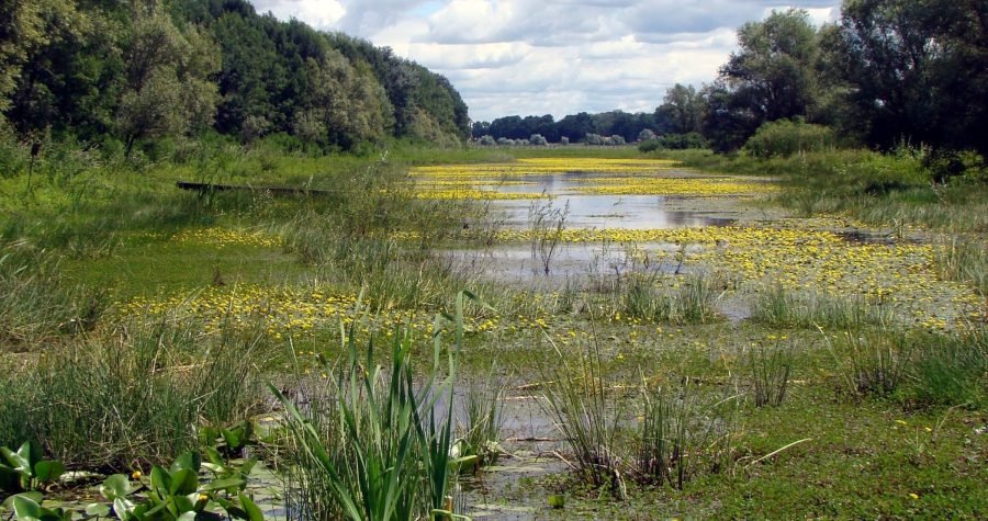 Dan planeta Zemlje – Očuvajmo Zemlju čuvanjem biološke raznolikosti