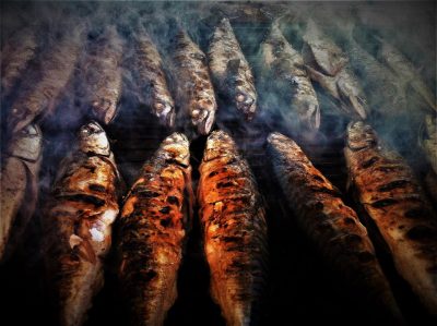 Ilustracija: pečene ribe (Foto TRIS/G. Šimac)