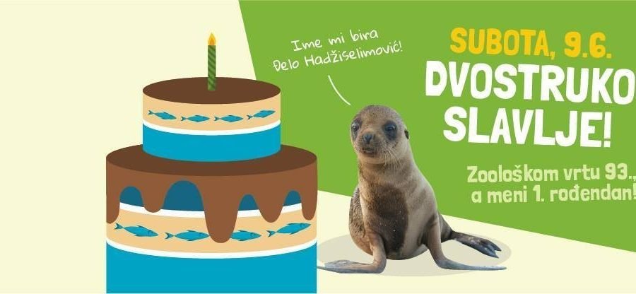 Morskoj lavici ime odabire Đelo Hadžiselimović: 93. rođendan zagrebačkog ZOO-a