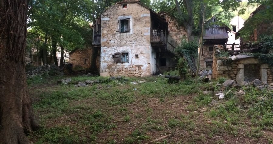 Ježenje kože u potrazi za napretkom i blagom bajkovitih Starih Popovića zaraslih u bršljan