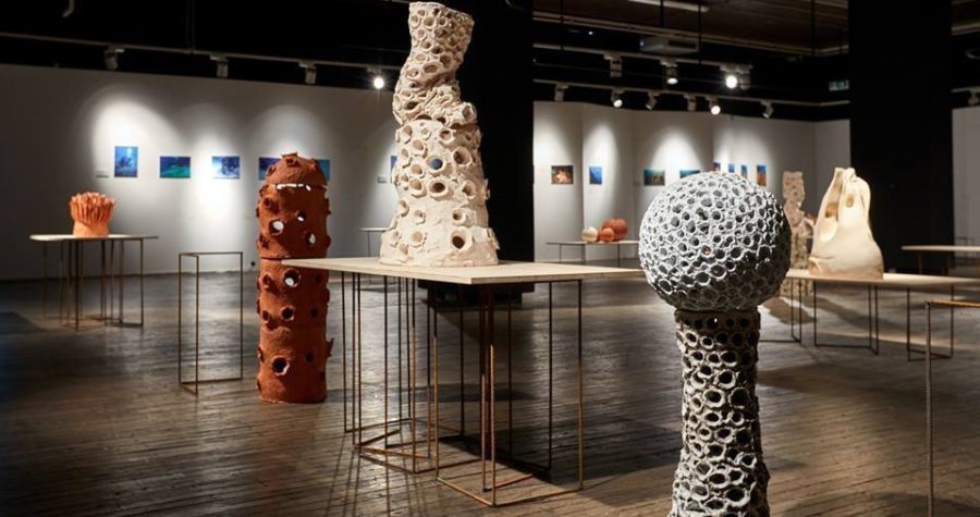 “Mare modul”: Sinergija umjetnosti i znanosti u obnovi morskih staništa 