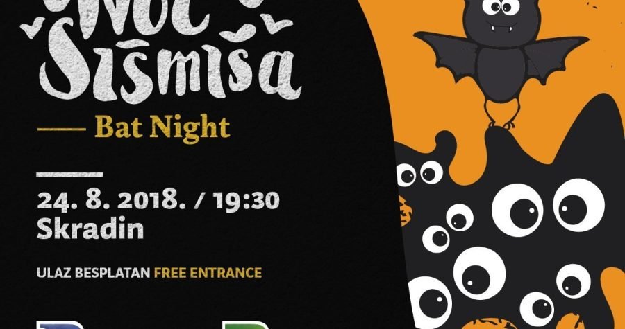 Noć šišmiša: O šišmišima najbolje brinemo ako ih ostavimo na miru