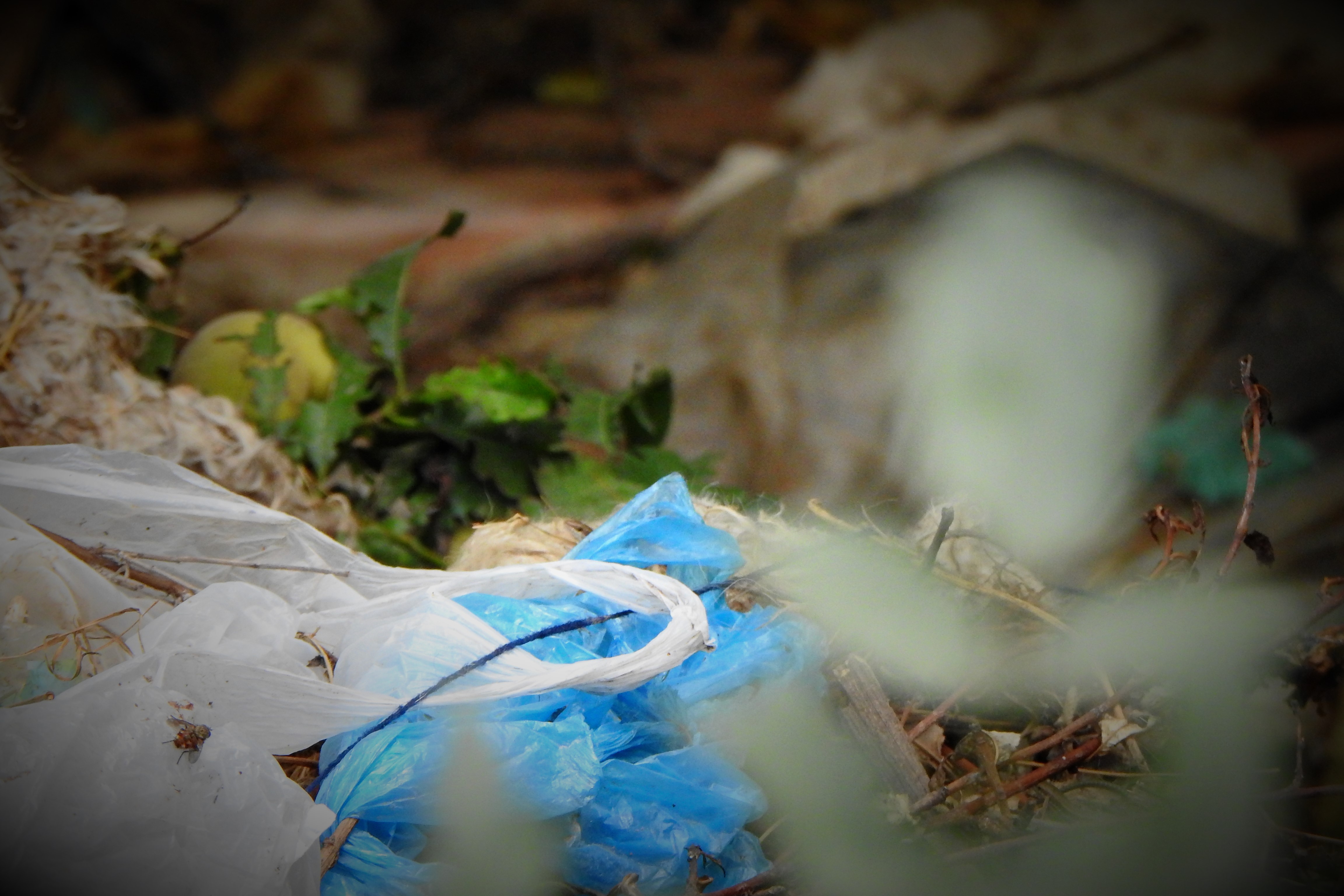 Plastična Hrvatska: Zabranjene tanke plastične vrećice (debljine do 50 mikrometara), ali ne baš potpuno