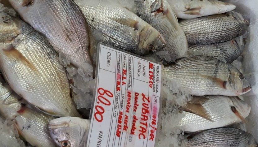 Povodom Svjetskog dana hrane WWF upozorava:Oceani i mora izlovljeni su do svojih maksimuma