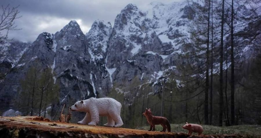 Supertoonovci dovode novu izložbu: Fotografski putopis Mede, Lije i Praščića