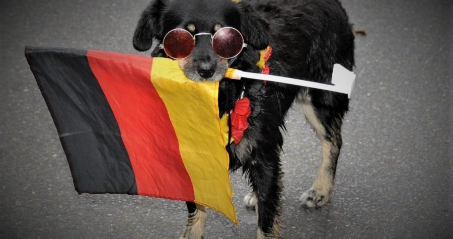 Lutalice odoše u Njemačku: ‘Ostat će Bosna i bez kerova’