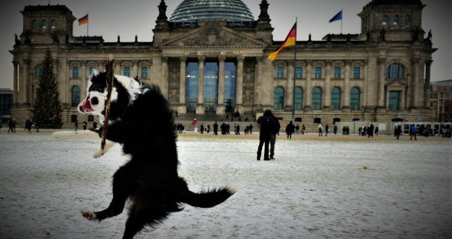 Danas: U Berlinu zabranjene pa dopuštene masovne demonstracije protiv ograničenja sloboda i ‘korona politike’