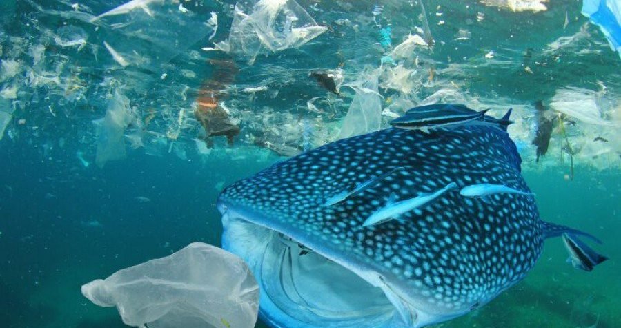 Samo zakon ( i stroga kazna ) Hrvatsku od plastike spašava!
