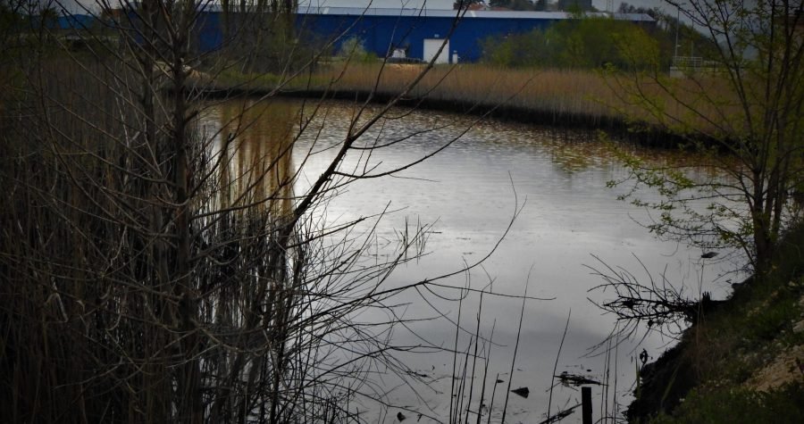 SDP napisao otvoreno pismo A. Plenkoviću, G. Jandrokoviću, G. Pauku i N. Dujiću o tzv. kninskoj laguni