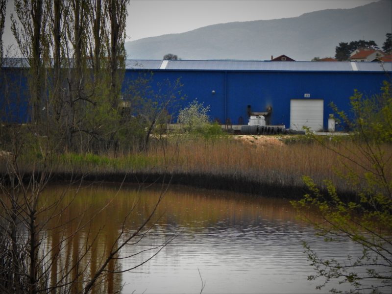 Ilustracija: Zagađena močvara...Crna laguna, a iza nje tvornica DIV (foto TRIS/G. Šimac)