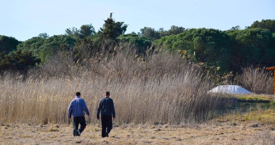 Kako klimatske promjene djeluju na slatkovodni živalj: O projektu Change We Care u PP-u Vransko jezero