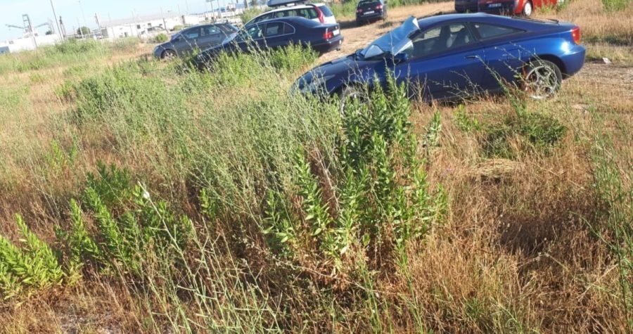 Luka Gaženica: Naplata parkinga na parkiralištu punom rupa i obraslom u raslinje do struka