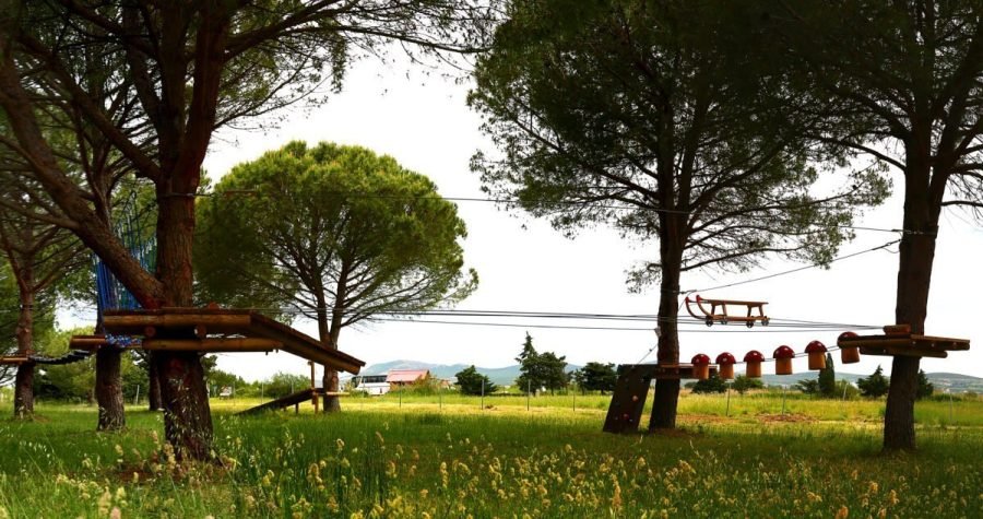 Adrenalin na Vranskom jezeru: Hodanje po drvenim gljivama i pentranje po visećim mostovima uz pjev ptičica i kreketanje žabica